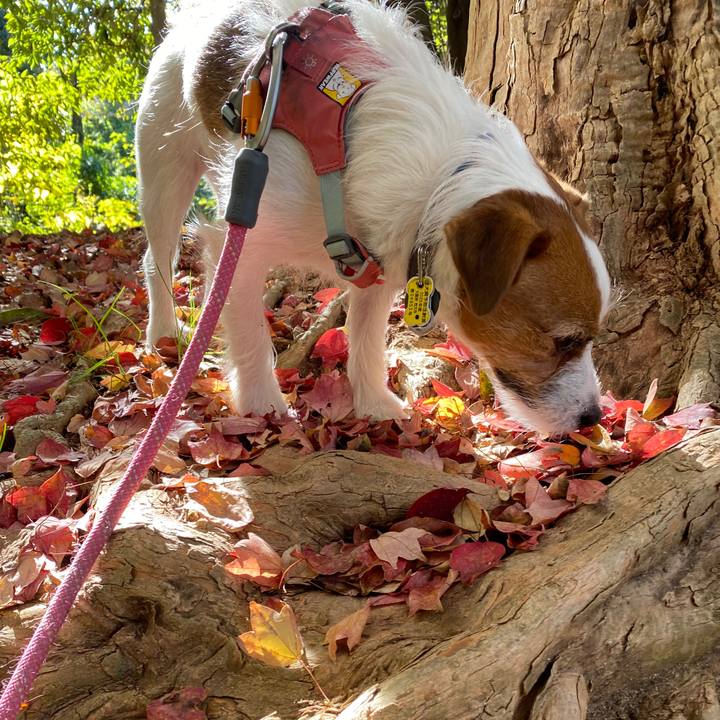 B22dc6c3 7048 46ef af52 36bd80c92ed9 1763279779164