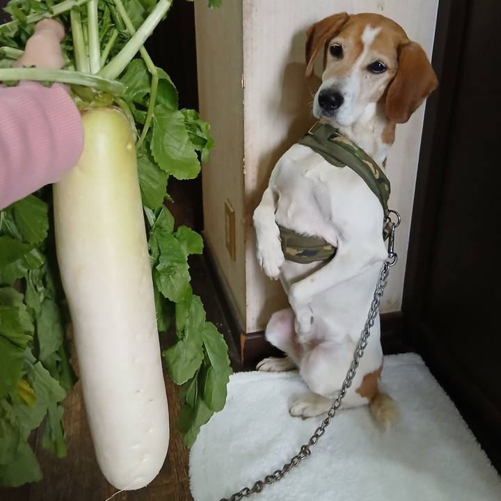 B22e2c51 51ec 4e0a 9cd3 fabaea4ac30b 1768883365637