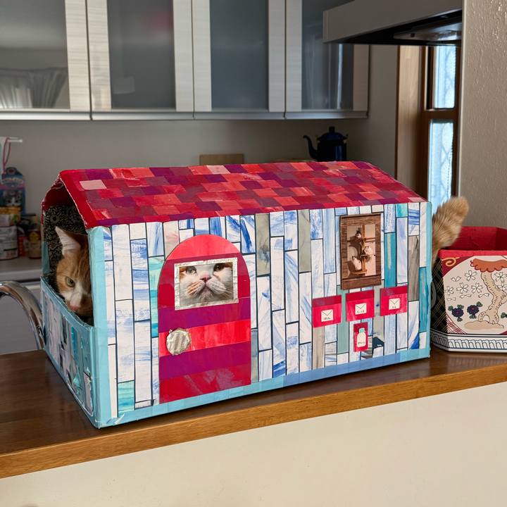 B22e62e9 26ca 4121 865e f404c999c049 1765072360050