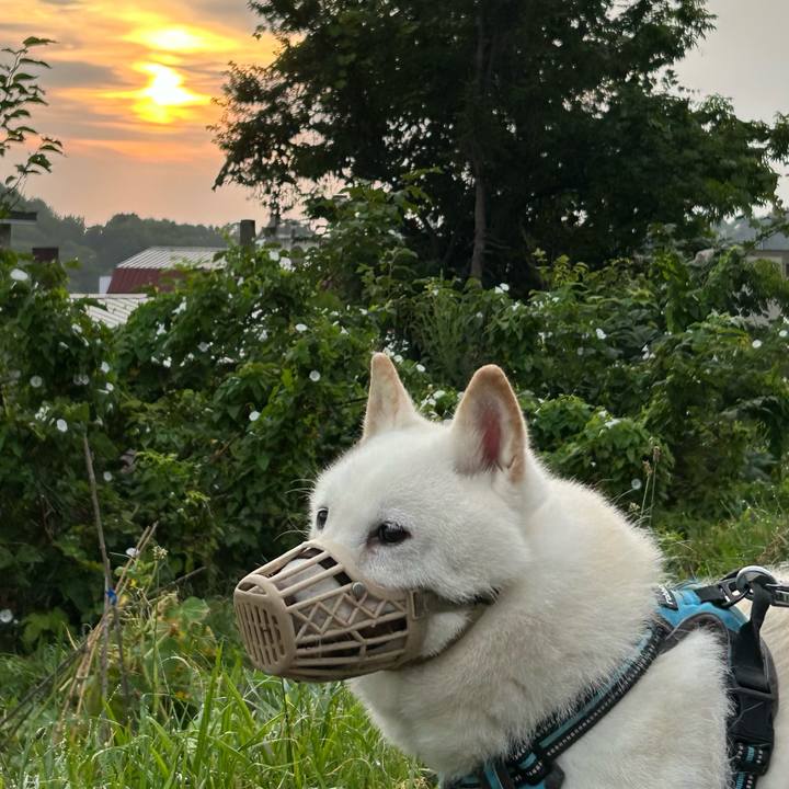 B22e9895 7315 43a0 a260 f66044c76fd2 1755635702147