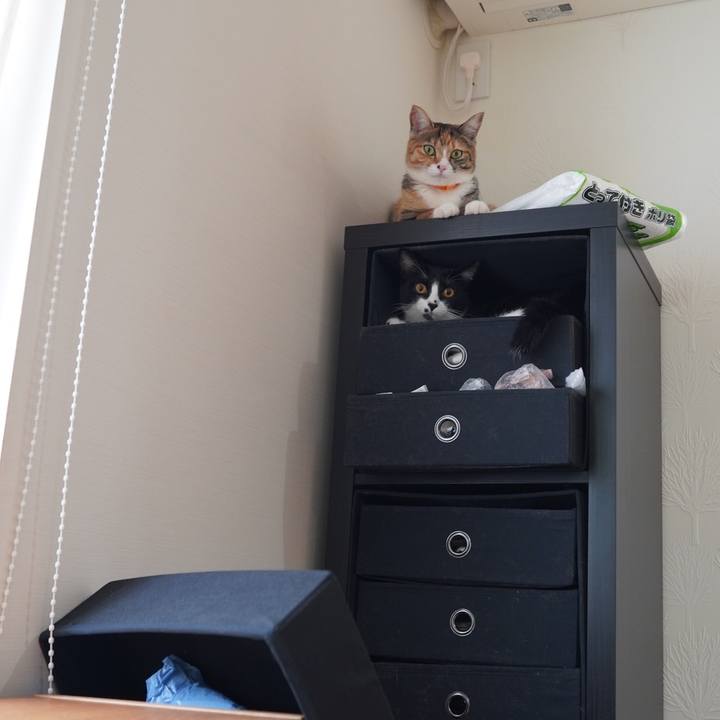 B22ea88e 170d 4545 af68 8e86e90ddd97 1596035399299