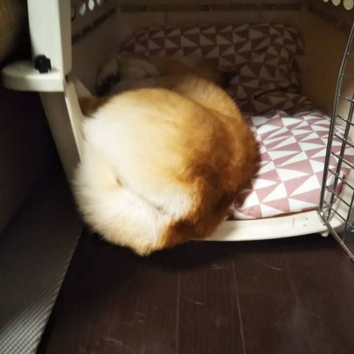 B22edcdf 6c12 4eaf ba5e aaccc26ce82a 1604569193732