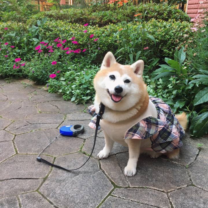 B22eed9d 41f4 497c a0e4 7482f563c659 1623231671560