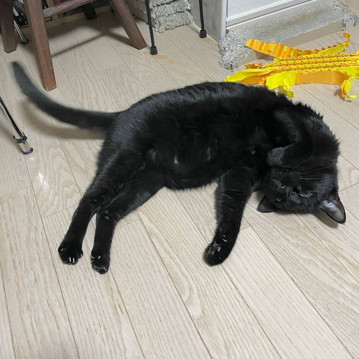 B22f0913 12e5 418e 90b1 92b1bf142422 1704977281119