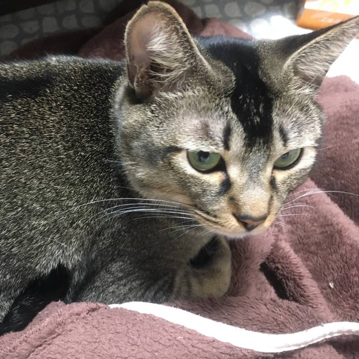 B22f232d 2ae2 4b1a b694 fbe5ac8c19cb 1507824913292