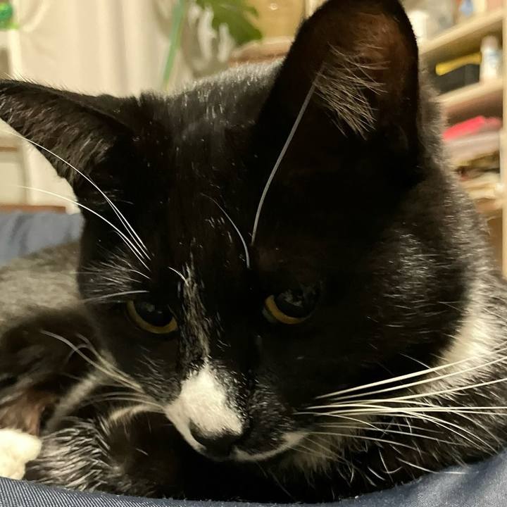 B22f2368 4b56 417a a3c7 dbf55be05c7c 1702711567868