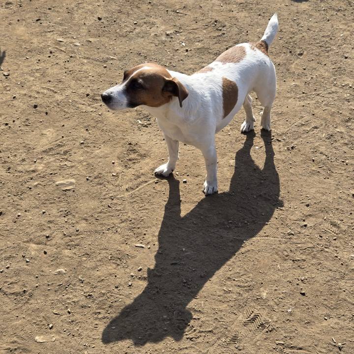 B22f7bee c963 457c 947c 847ef217b028 1771149757795