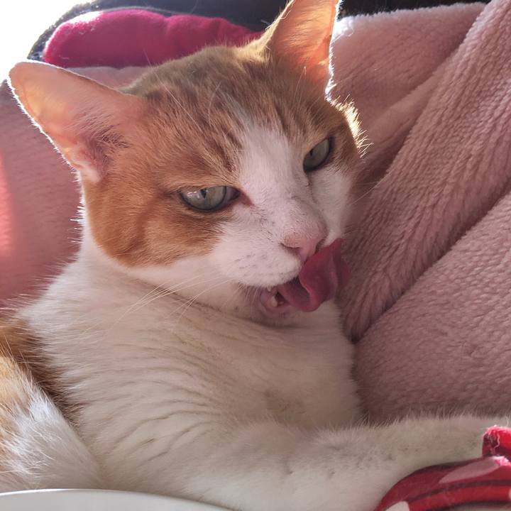 B22f978f a2c1 454b a74d 1d02dc42b5cc 1573442297957