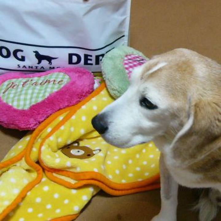 B22faffd d419 4ac3 8ec6 2a0c80ce525f 1682128079502