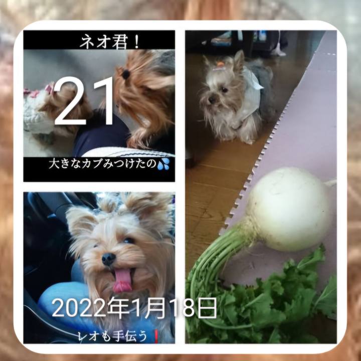 B22fc647 461c 4105 8a80 45c9511919f0 1737424117191