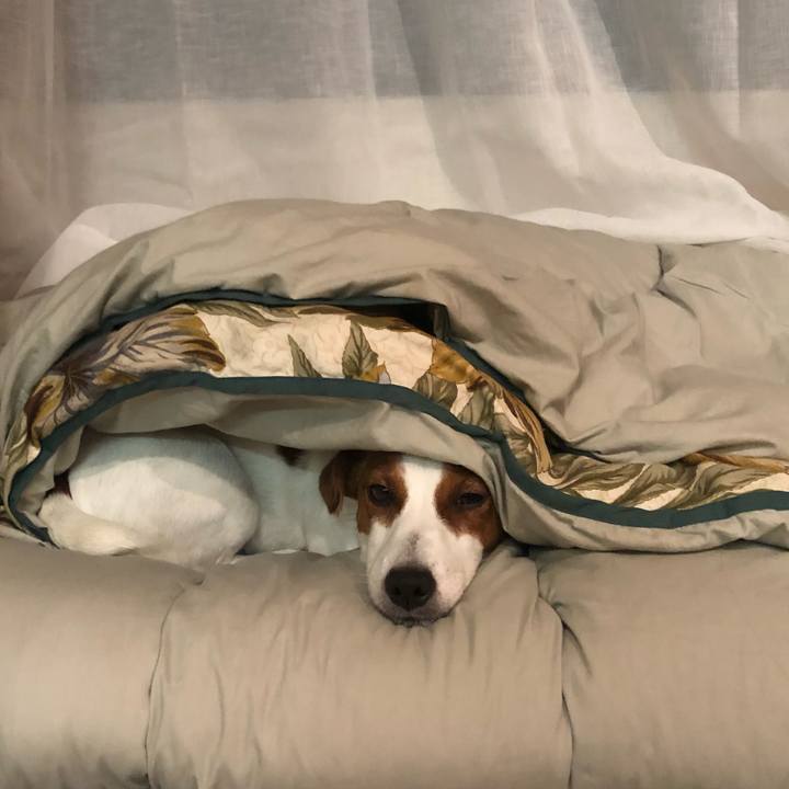 B22fed85 933b 4bf2 b94e 2f0e504eb52f 1562146174833