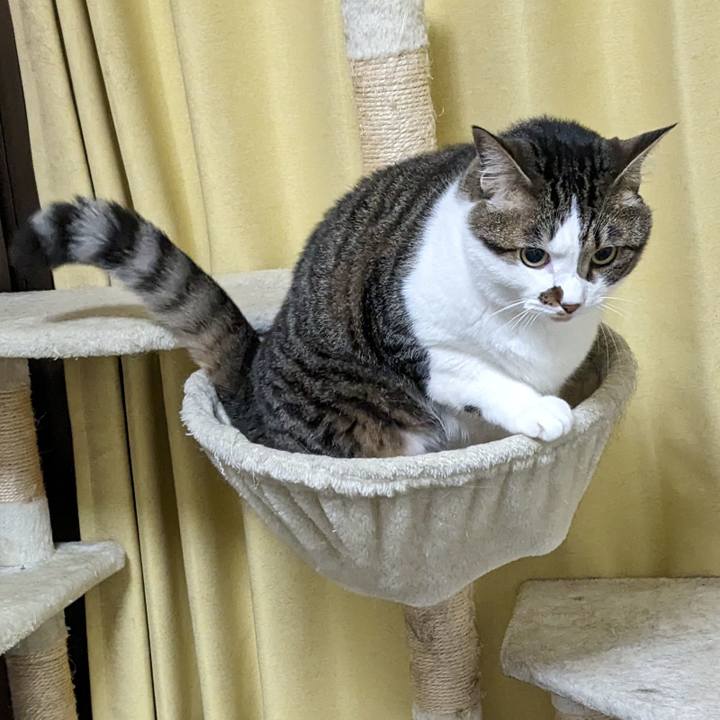 B2302570 ea70 4add aaf2 7bdd4f65f8ea 1717414128127