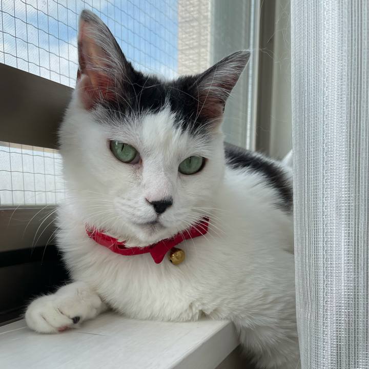 B230332e 519e 44b0 aaf6 cea94517779a 1623478155343