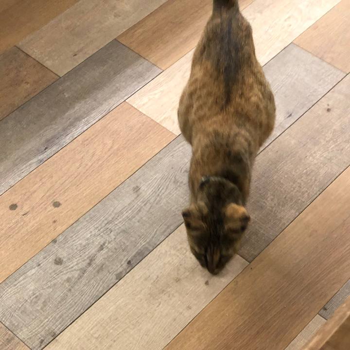 B2303b5d 0b2f 4719 b015 e6e2fa6e8639 1596692682671