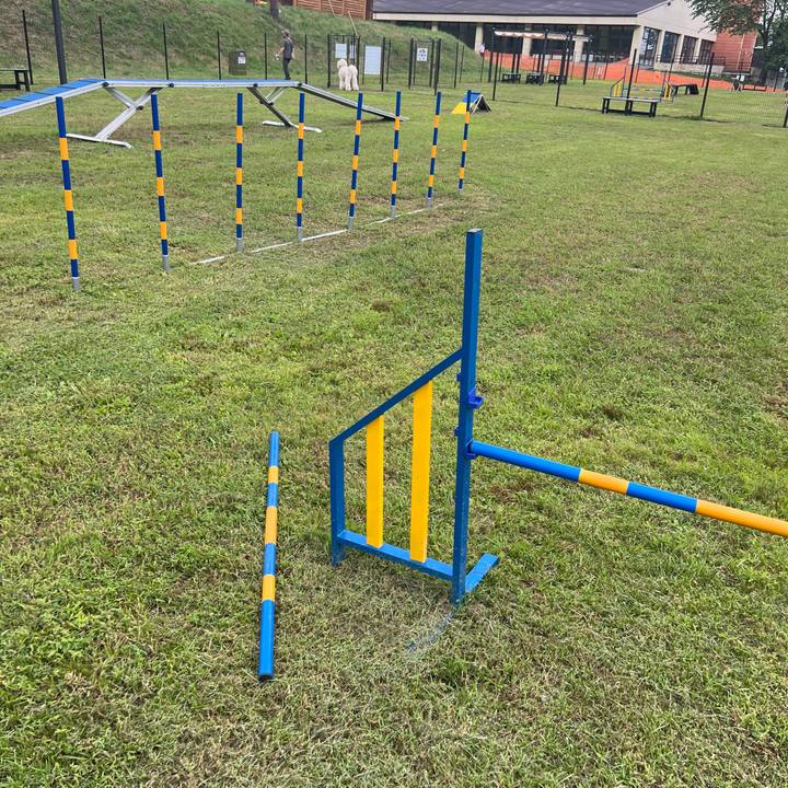 B23058c4 64e2 42d5 857f 2bf7c5b13e9d 1753948067549