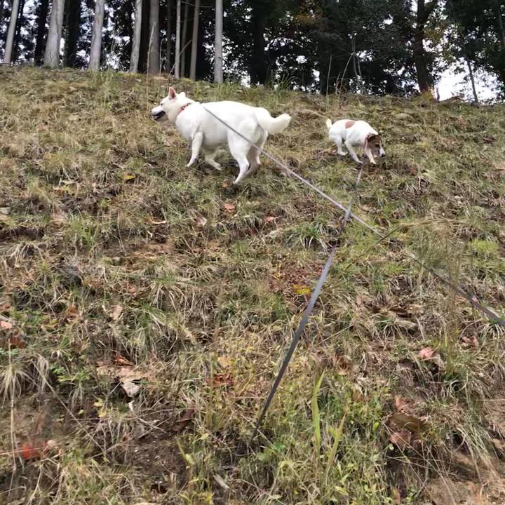 B2309196 2ed1 4a45 af38 52b3b9b5fc46 1510478243614