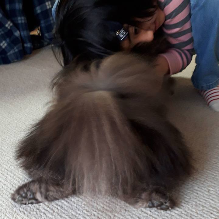 B230e822 e887 4937 96cd 019603cdf6a1 1520930463244