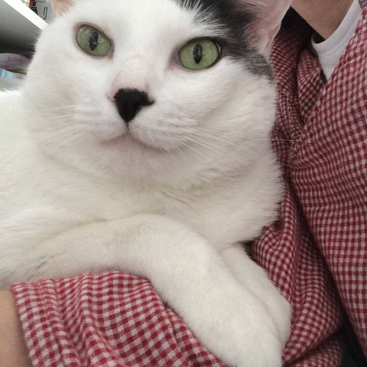 B230e9a2 eea0 4188 8447 ef296afab6de 1529954516229