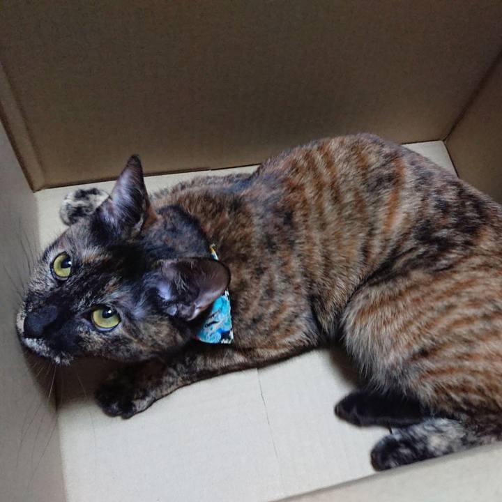 B23125ba d313 4260 a3d9 6404205b938c 1581258637949