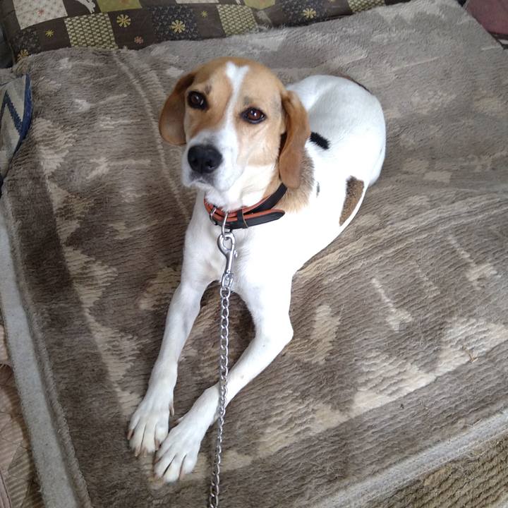 B23130fb b4f1 4f41 a58d ce286cd0d6aa 1626410645531