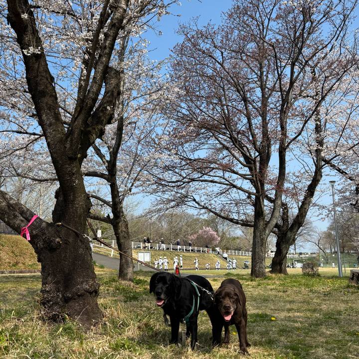 B23143f2 73f0 4ef9 85f4 44e4e9ecb1db 1774783892757