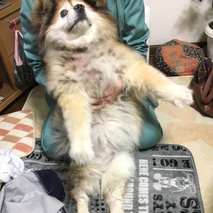 B2314f0d 2c09 49b2 8f96 36049012555a 1592157337603