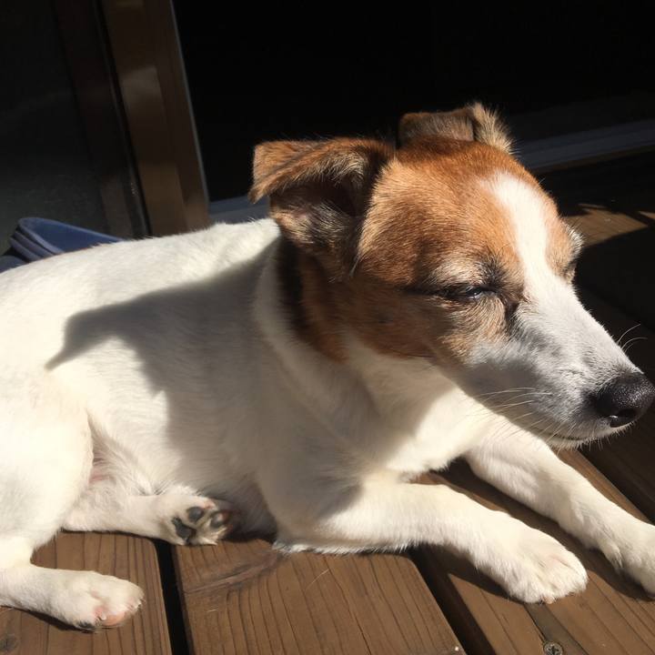 B2315d3a 7174 4f47 a7fb 401df3e7d015 1509630902860