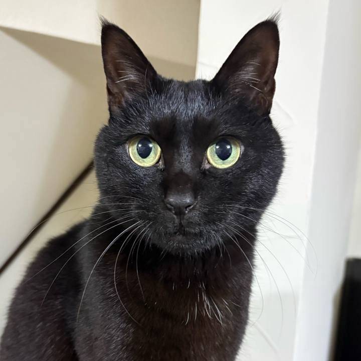 B2319285 4c66 4e2c a9fc 785595962c48 1770886705340