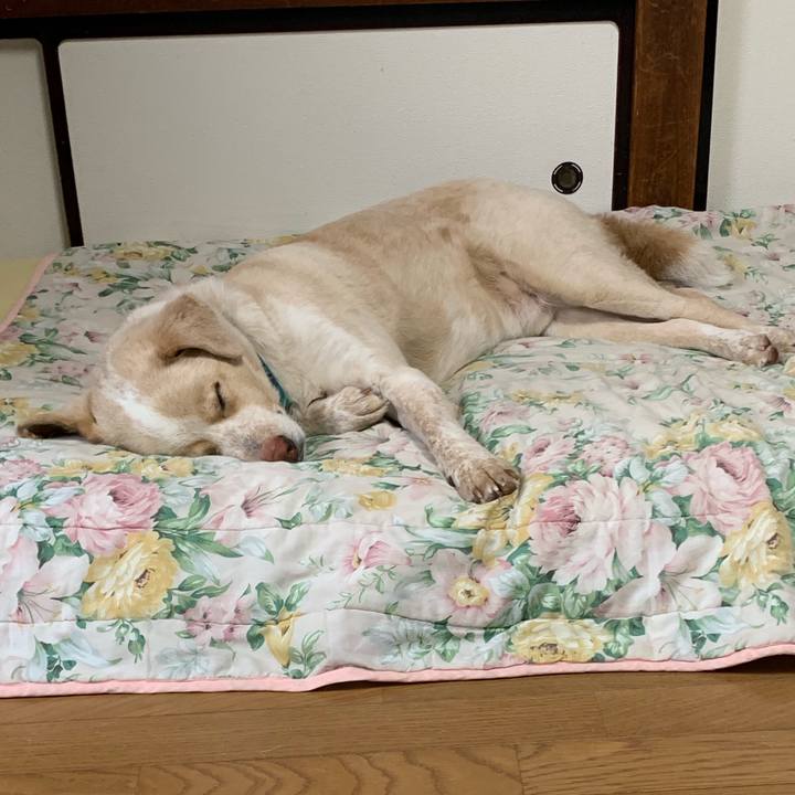 B231cb1d 6e51 4922 8d7b ce198ee3dfe5 1556590232538