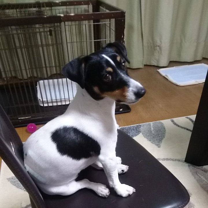 B231d530 e852 44a4 a5a7 b4db5c1f9995 1543541247281