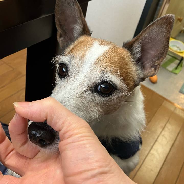 B231e965 8473 46c4 894a 347a2c6a3f61 1677111785012