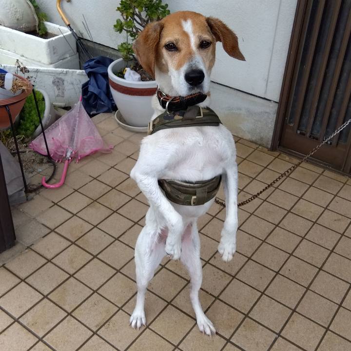 B2320fa0 9387 44d0 99ae c3d37465ed93 1687839637063