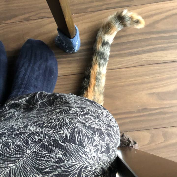 B2328540 58b6 458c a3e6 265d96c9e612 1603513032683