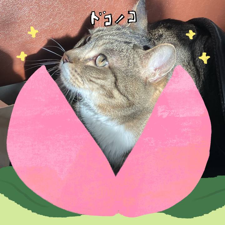 B232f2d9 4c20 4387 ace3 1931fe36eda7 1772323847003