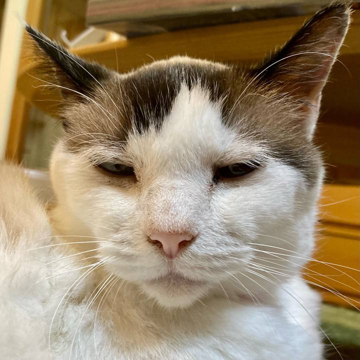 B23309d0 9ea5 49d6 87d8 155878926f8b 1659407750679