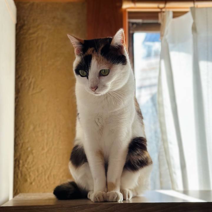 B23312cf 92c2 4d66 8b70 1a55df483795 1701566937629