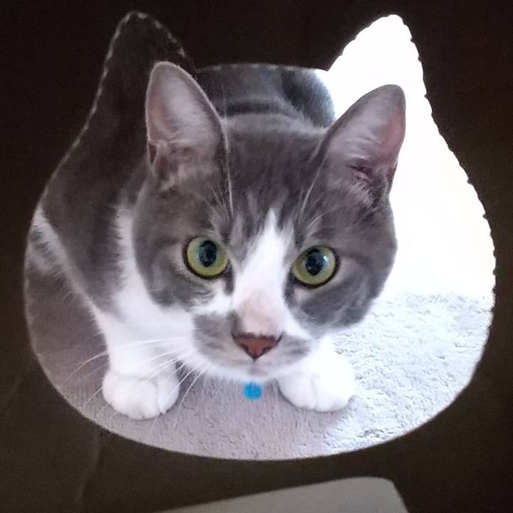 B2331377 5a47 442b 8ee3 8c0c230b5700 1599089695084