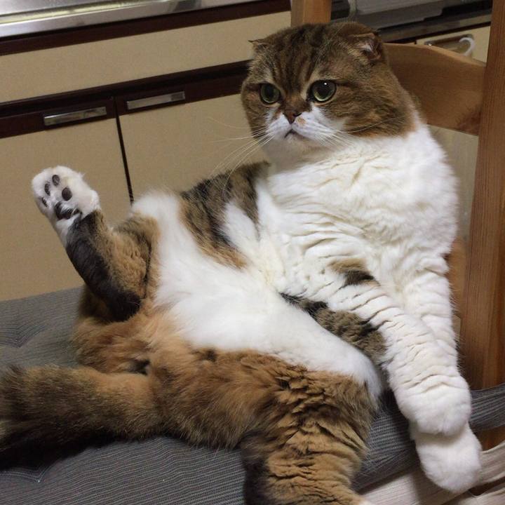 B2332b00 e185 4e7f bd38 0be92c8802ca 1536053003002