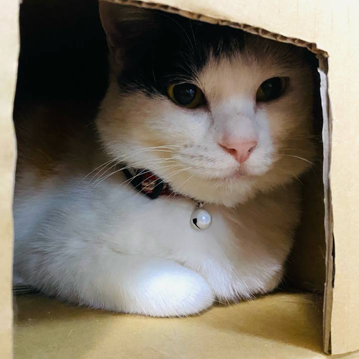 B23330c5 0dc9 4822 9343 be1d833188a9 1654525563424