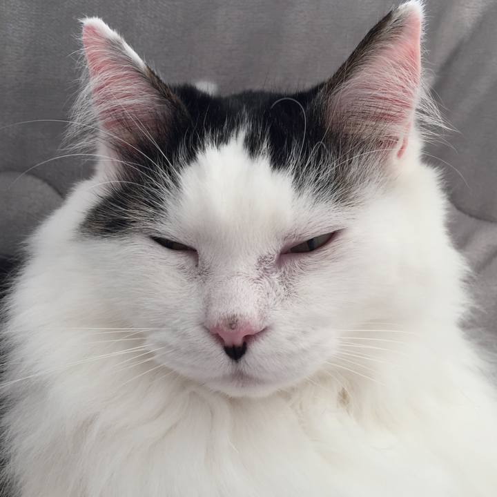 B2335147 e893 4f0f 83fe fd485bb087c3 1511663505743