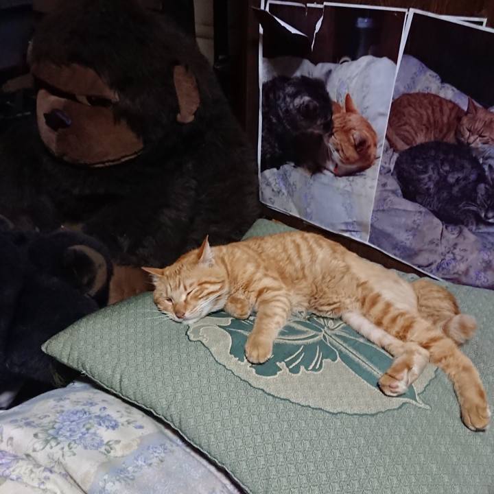 B2335265 46c4 40da b954 e915fbbf8f87 1656767328032