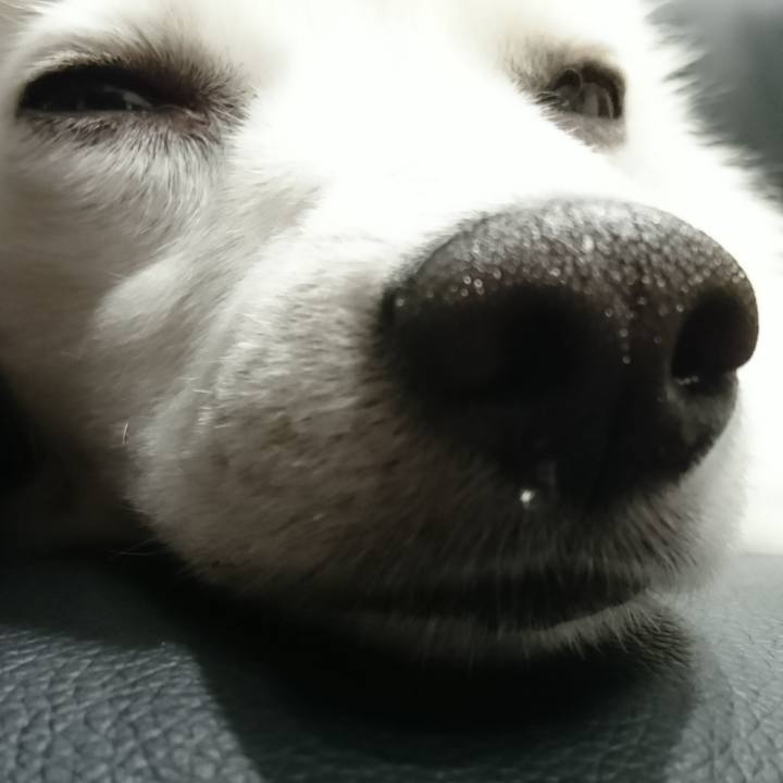 B23359d2 85e4 45dd aaf3 8815fcbae2da 1538998594000