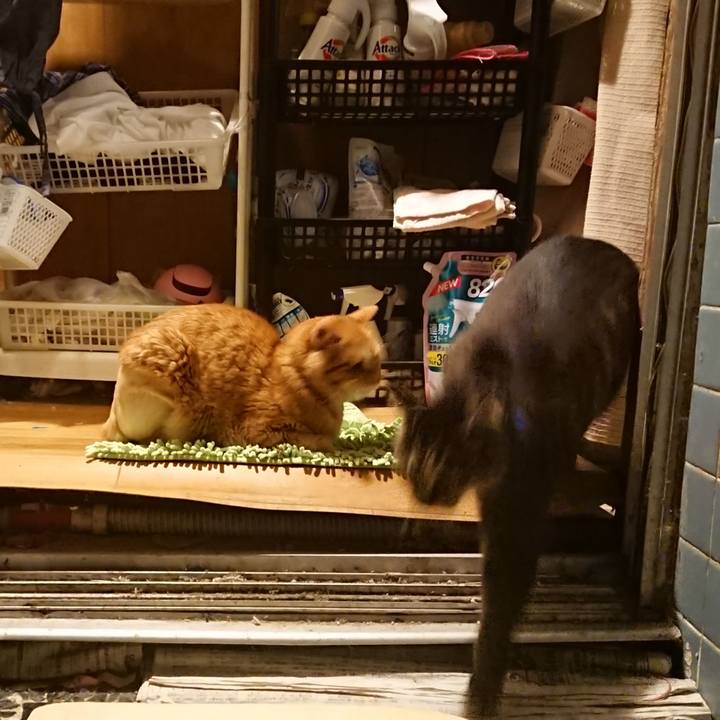 B23368ed 08e6 4ff2 9fd3 c0a1fc6a1556 1654688878780