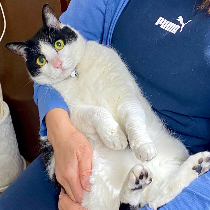 B2337d4d 973f 4353 ad80 064cb5bf5073 1713656451236