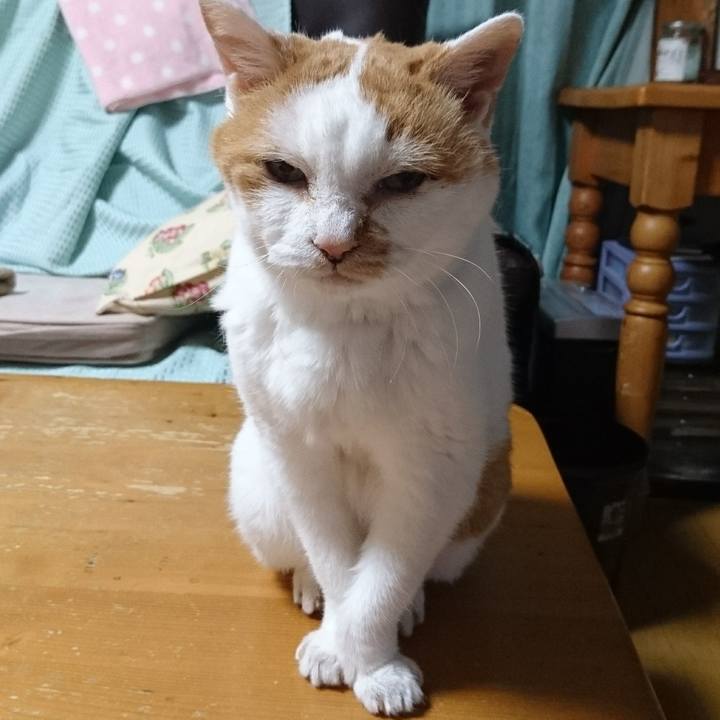 B233a62a ecca 4b28 89e9 7983ac76c805 1659970375903