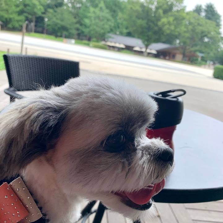 B233b050 4c00 4b2f 802e b3ae210ebc32 1595410339000