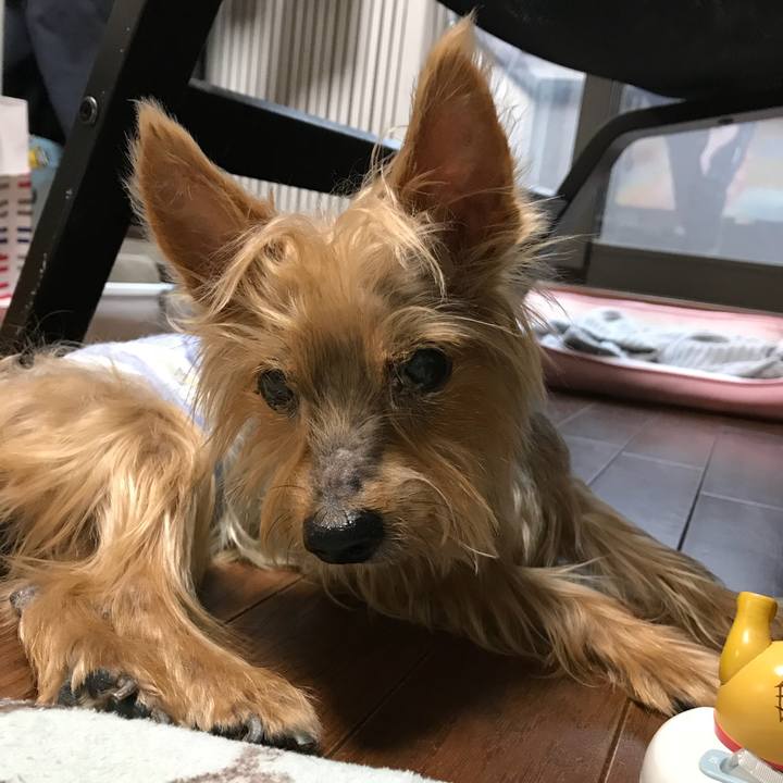 B233b0e9 ef07 4a86 9844 ba7d5aae983e 1513149424685