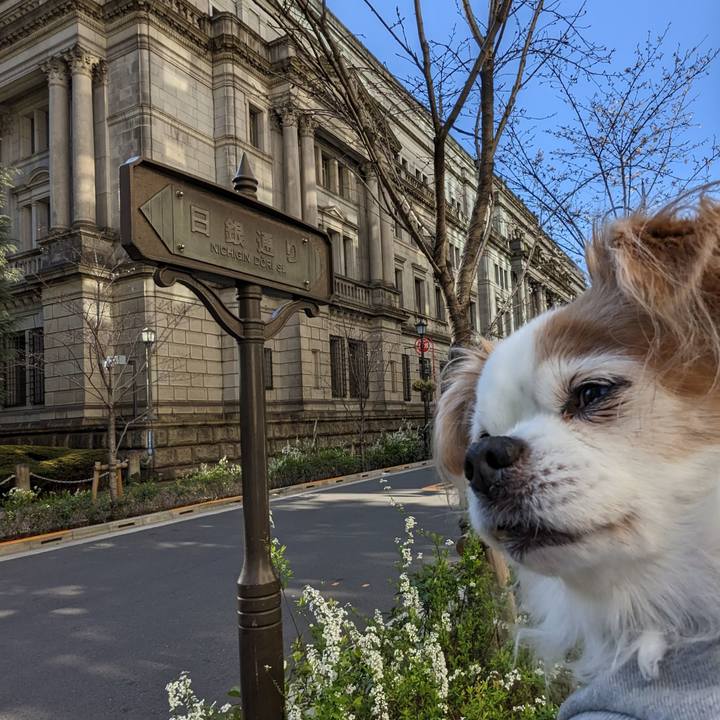 B233c4f5 a318 4c37 b382 925df15ce5b2 1679210320369