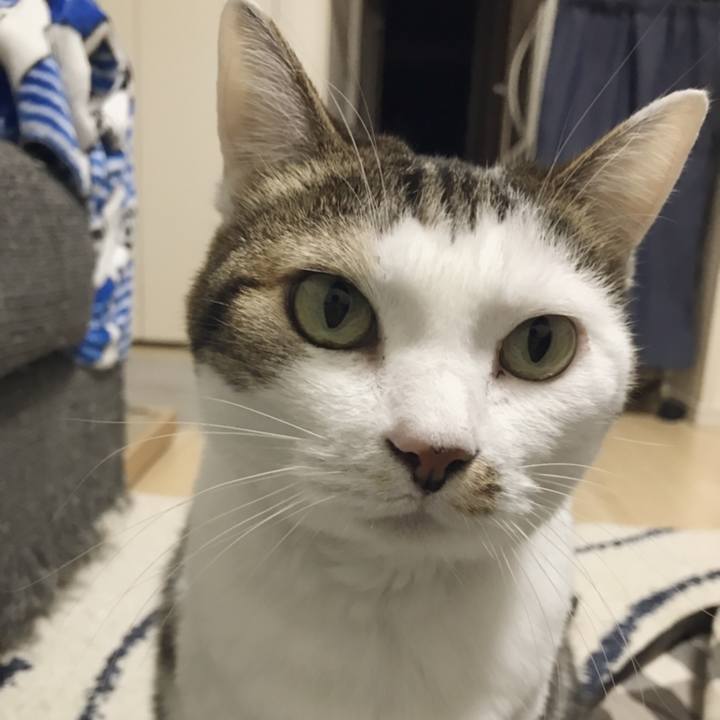 B233eef6 5877 49ce ad4e abc5e9be1328 1539835422020