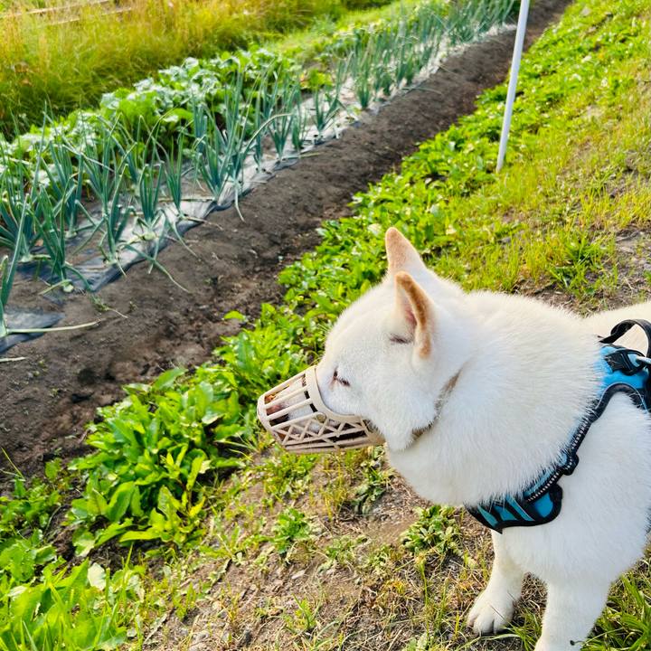 B233fade 7691 4a44 b61c 49454a5e1850 1721079894763